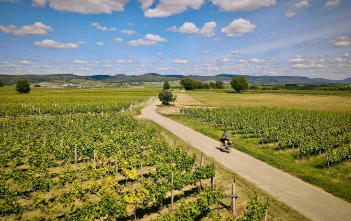 Transgermany 2020 Prolog - Heidelberg, Rheinebene und Pfälzer Wald