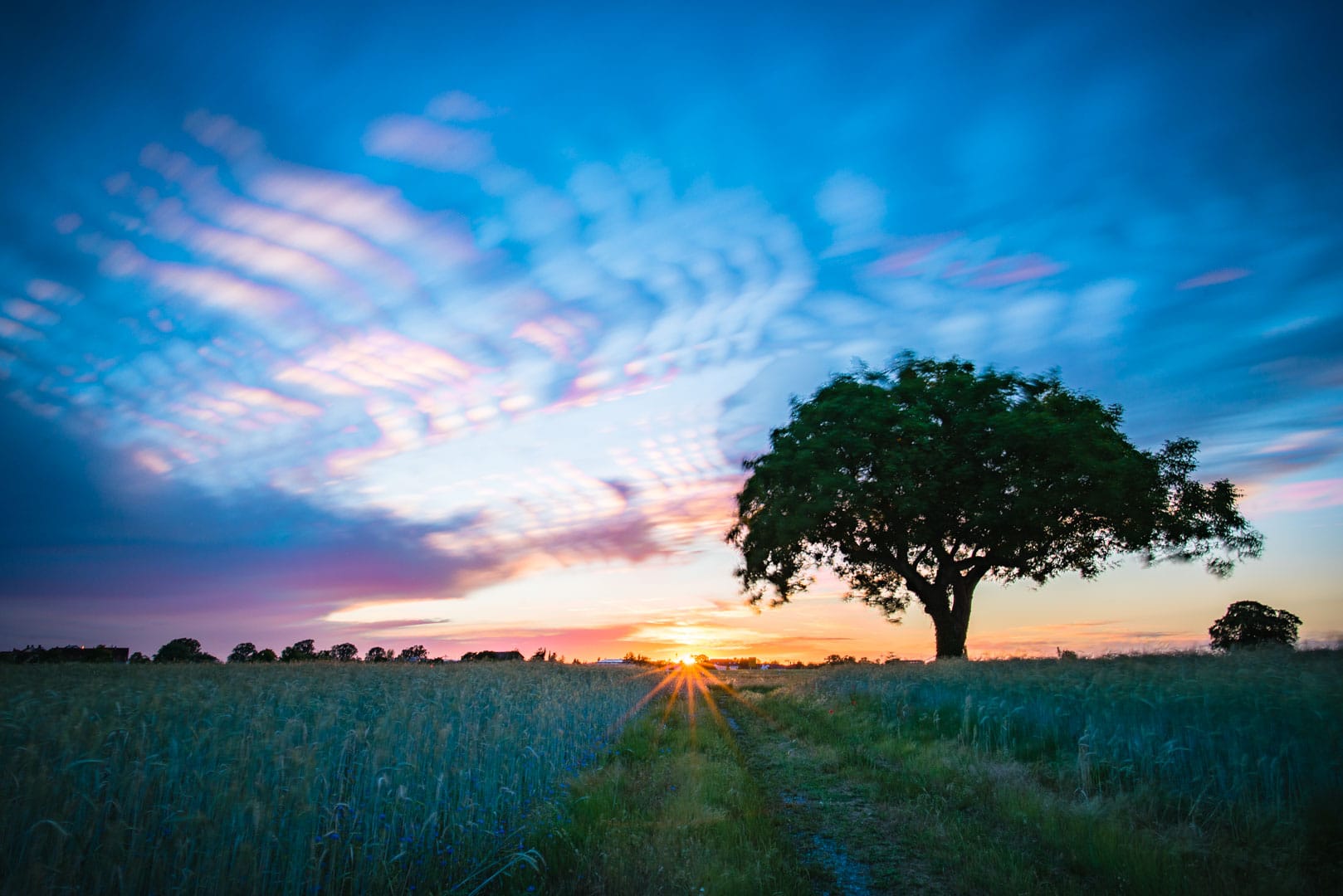 20170606_D750_Sonnenuntergang_Buechenau_013
