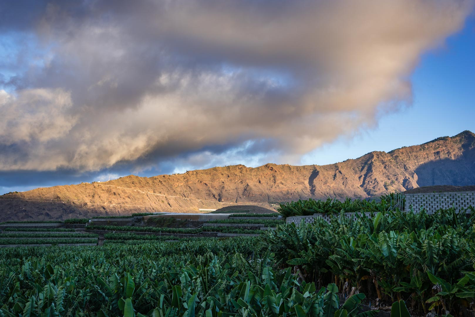 20171103_D750_Tazacorte_LaPalma_009